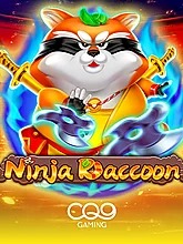ninja-raccoon