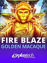 fire-blaze-golden-macaque
